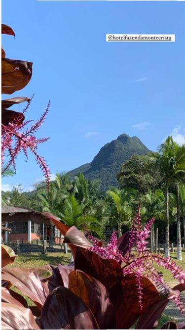 Hotel Fazenda Monte Crista Rio Bonito  Exterior foto